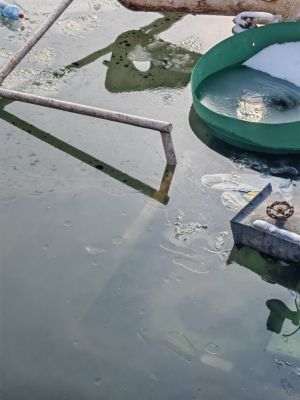 Sursa foto: Administraţia Naţională „Apele Române”